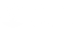 Qigong Infused Yoga logo